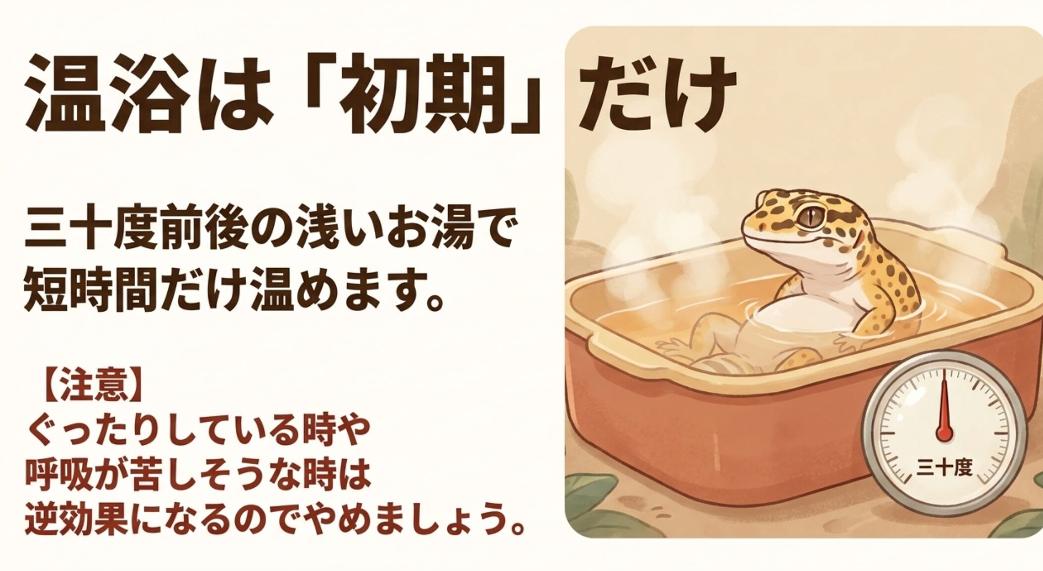レオパの卵詰まりが疑われる初期に浅いぬるま湯で短時間温浴する際の注意点