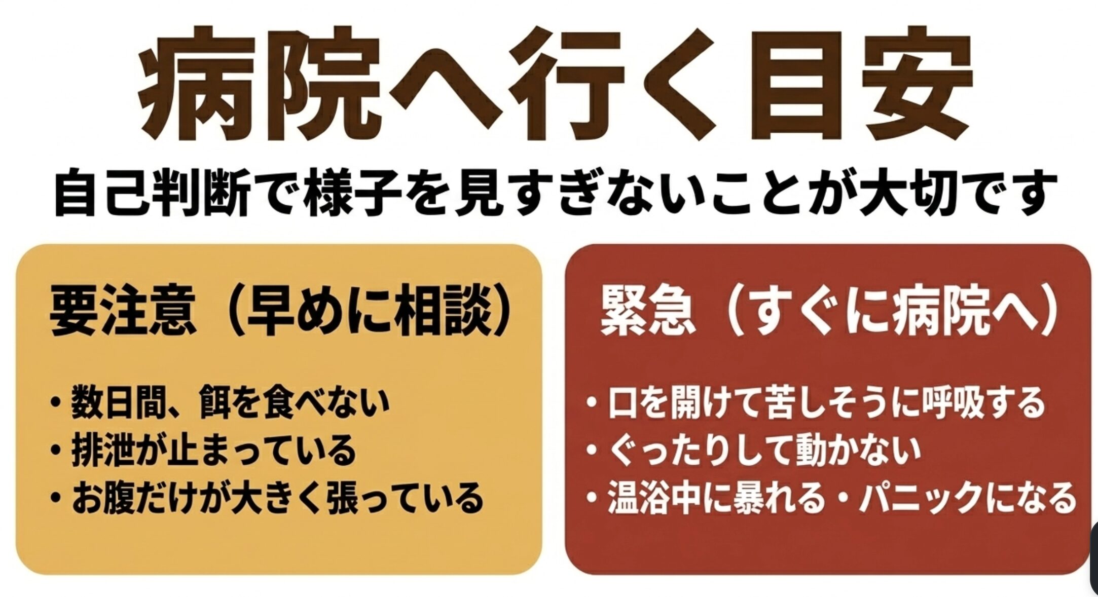 レオパの卵詰まりで早めに相談すべき症状と緊急受診が必要な症状を整理した図解