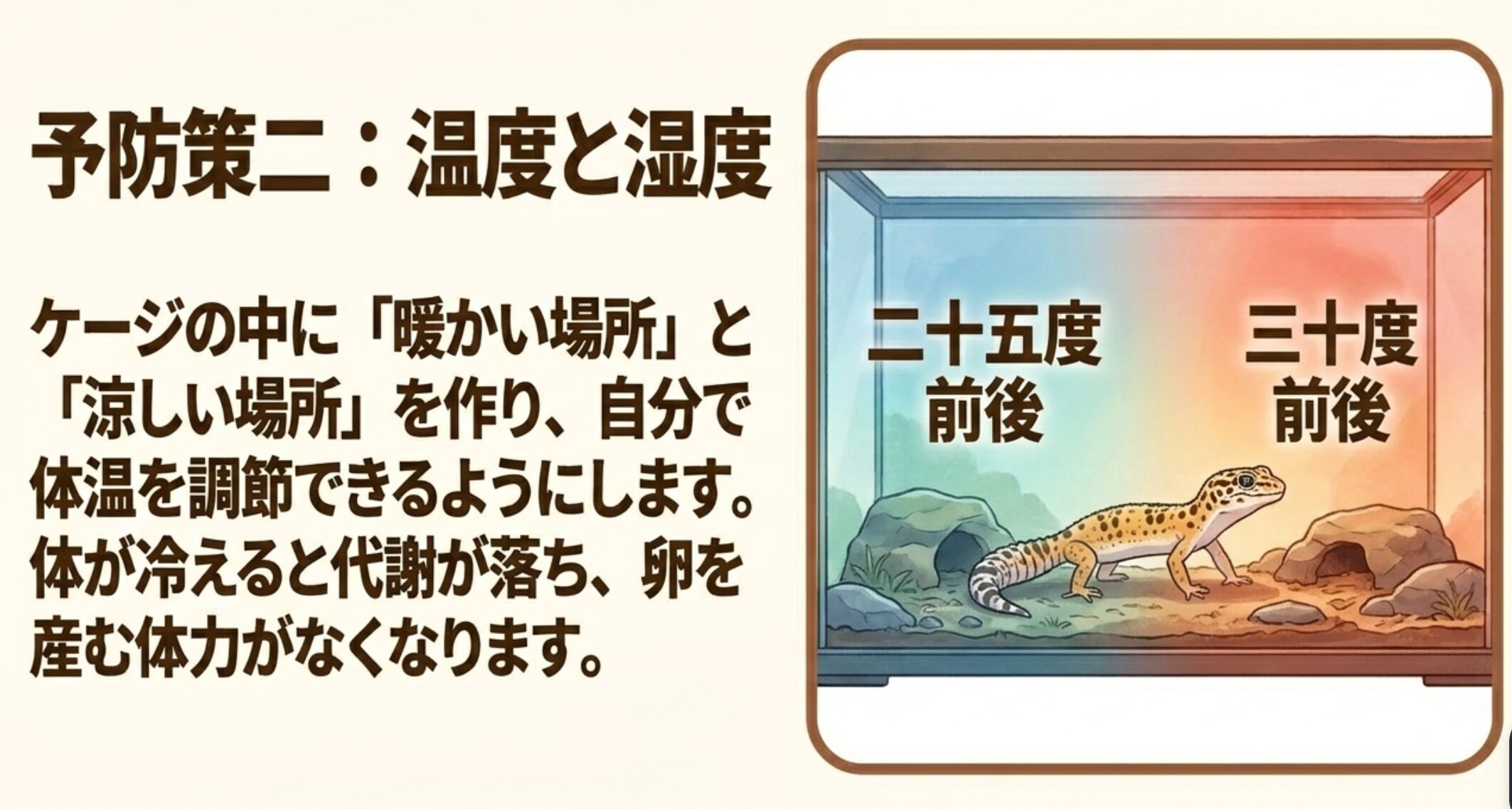 レオパの卵詰まり予防のためケージ内に暖かい場所と涼しい場所を作る温度管理の図解